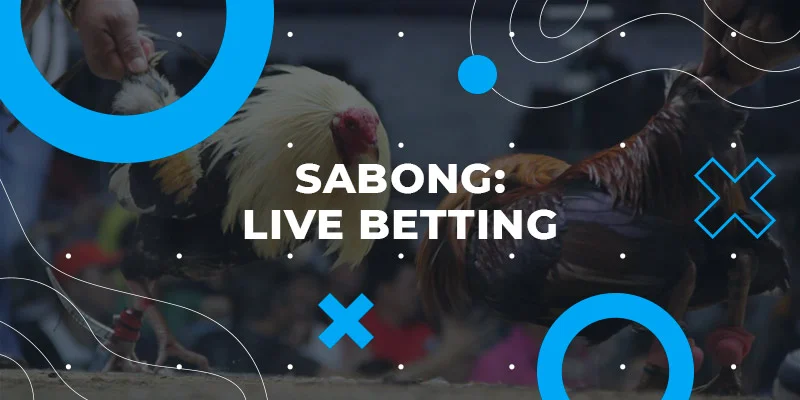 777color sabong-sabong-live-betting